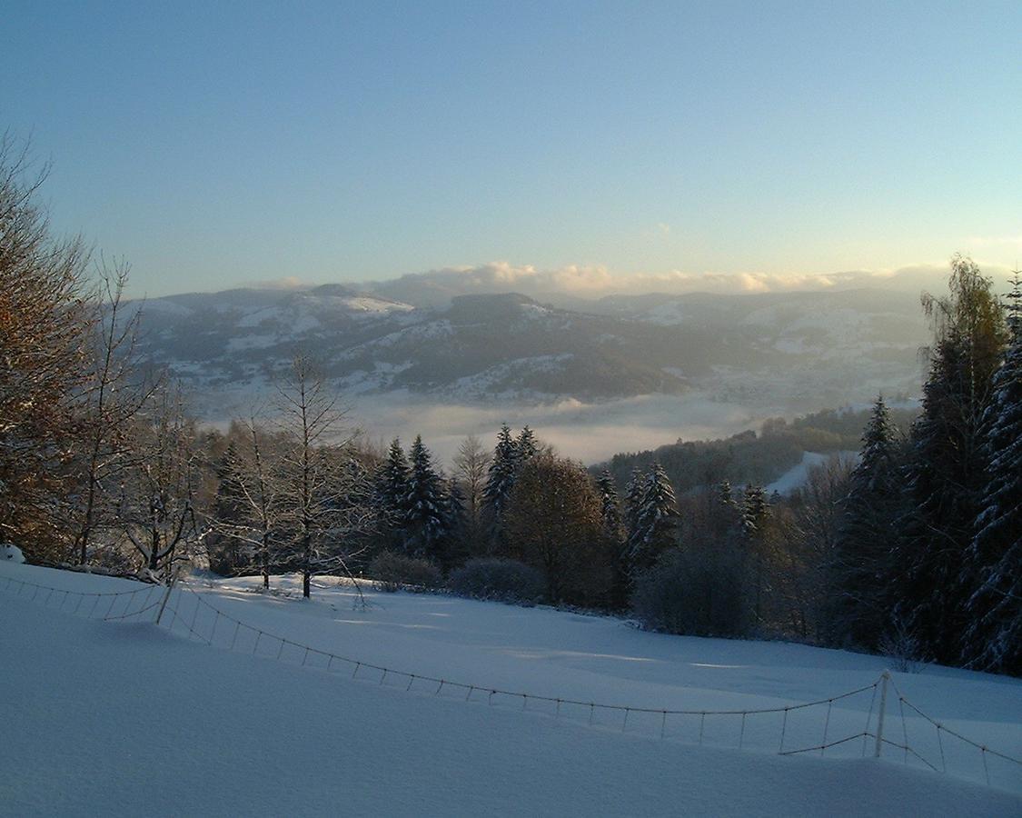 Auberge Du Grammont Ramonchamp Buitenkant foto