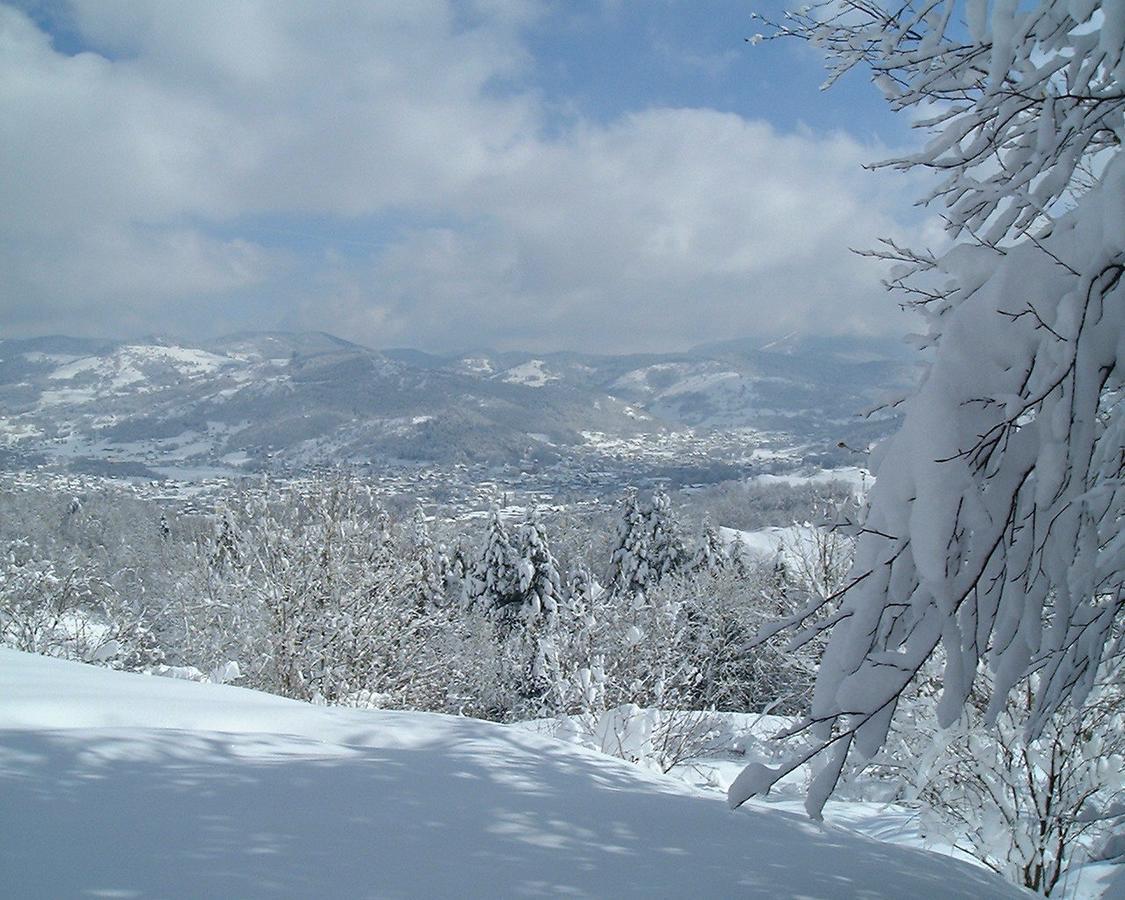 Auberge Du Grammont Ramonchamp Buitenkant foto