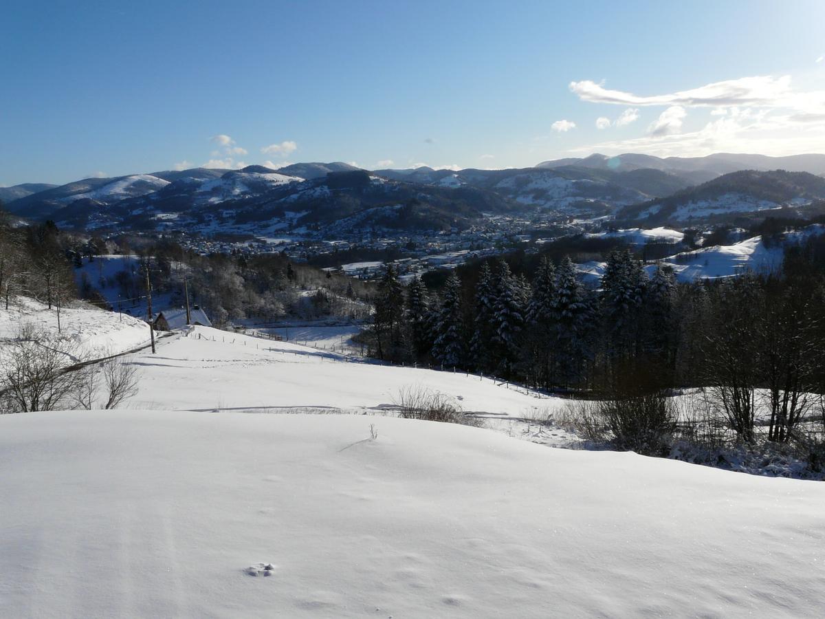 Auberge Du Grammont Ramonchamp Buitenkant foto