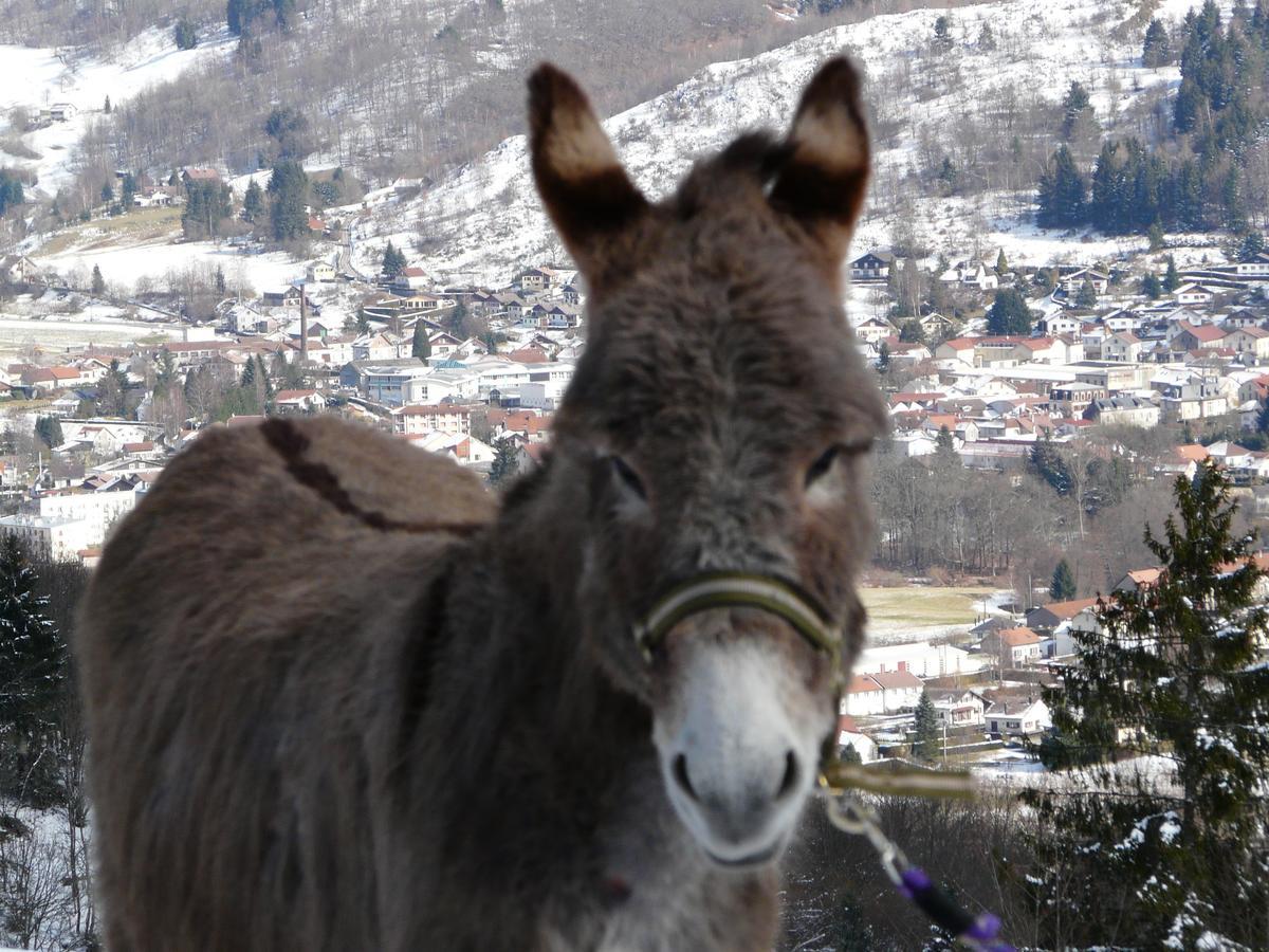 Auberge Du Grammont Ramonchamp Buitenkant foto